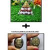 Shree Yantra Gomtichakra / Wealth Pyramid