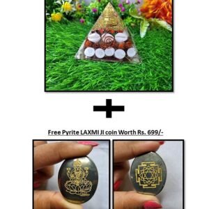 Shree Yantra Gomtichakra / Wealth Pyramid