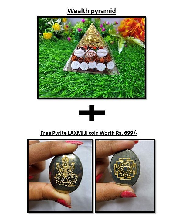 Shree Yantra Gomtichakra / Wealth Pyramid