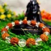 Rudrakhs with Clear Quartz Bracelet