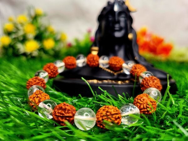 Rudrakhs with Clear Quartz Bracelet