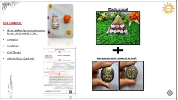 Shree Yantra Gomtichakra / Wealth Pyramid