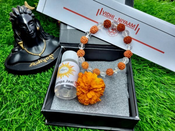 Rudrakhs with Clear Quartz Bracelet