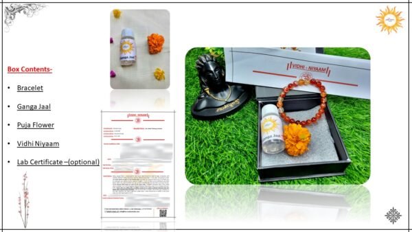 5 Red Carnelian Bracelet